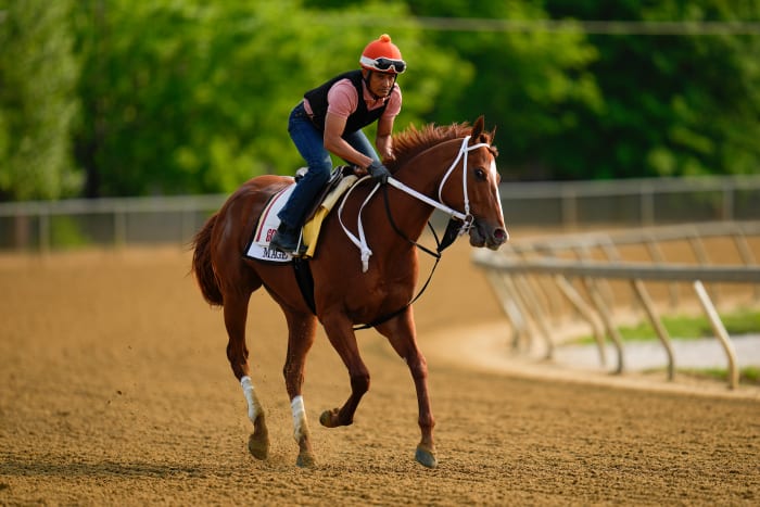 Kentucky Derby winner Mage works out ahead of the Preakness Stakes.